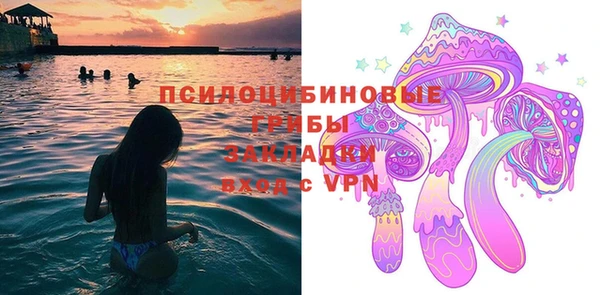 ECSTASY Абаза
