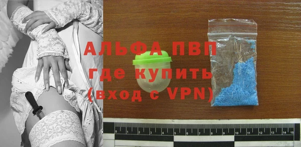 стафф Протвино