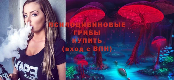 СК Абдулино