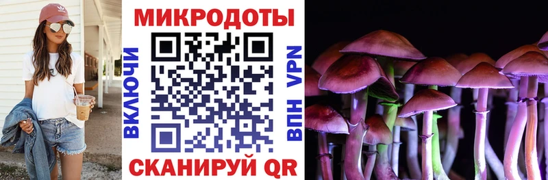 купить   Тотьма  Галлюциногенные грибы Magic Shrooms 